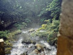 -关门山森林公园