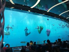 -瑞德姆美人鱼海底演艺主题餐厅(亚龙湾店)