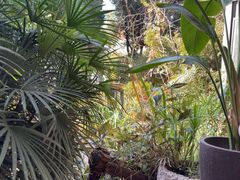 -谷咖啡·鲜花绿植花园餐厅