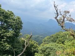 -青城山