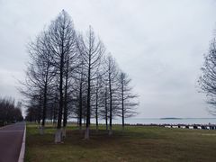 -苏州东太湖生态园