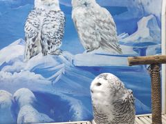 -成都浩海立方海洋公园