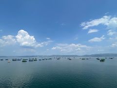 -抚仙湖禄充风景区