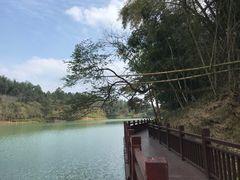 -广州白江湖森林公园