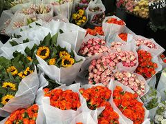 -循礼门鲜花花市(武汉循礼门店)