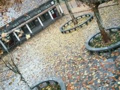 -曲阜师范大学(曲阜校区)