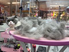 -FAELING PETS美天灵宠物(富力广场店)