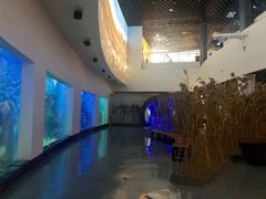 -上海长江河口科技馆