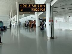 -郑州新郑国际机场-T2航站楼