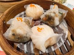 -有心德(麦地店)