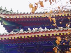 -西安大兴善寺