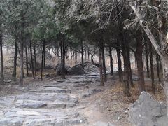 -阳台山自然风景区