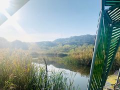 -西湖风景区-江洋畈生态公园