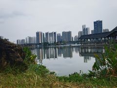 -飞来湖湿地公园