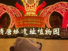 -洛阳市隋唐城遗址植物园