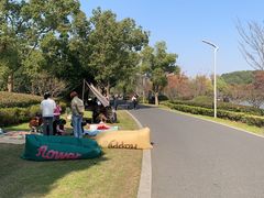 -昆山城市生态森林公园