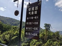 -呀诺达热带雨林