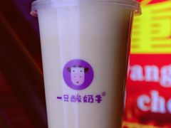 -一只酸奶牛(八一路店)