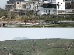 -龙坞茶村