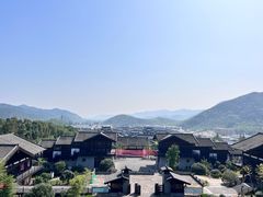 -大唐贡茶院