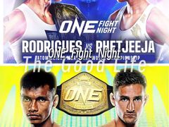 -TFC 纯泰拳馆MuayThai