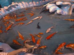 -泉州海丝野生动物世界