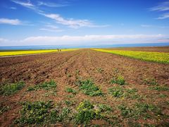 -青海湖国家重点风景名胜区