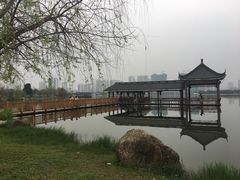 -飞来湖湿地公园