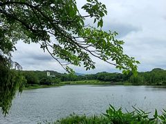 -东莞植物园