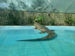 -广州长隆飞鸟乐园