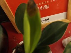 -和和小厨