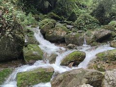 -青城山