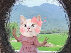 -竹语饭香·原生态农庄·烧鸡·竹筒饭·河鲜(森林海白水寨店)