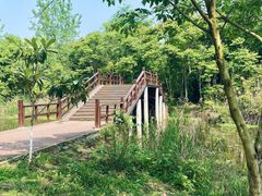 -白鹭湾湿地公园