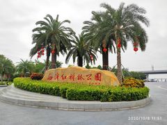 -宝安西湾红树林湿地公园