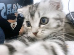 -宠颐生中康贝怡动物医院