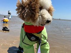 -东戴河风景区-止锚湾