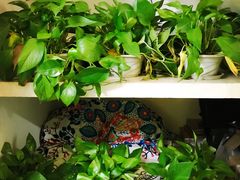 -不止轰趴桌游麻将台球(立水桥店)