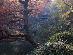 -岳麓山风景名胜区