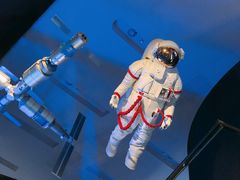 -贝林大翅鲸简餐厅(国家海洋博物馆店)