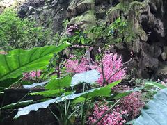 -英西峰林·洞天仙境