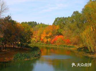 从地铁八号线林萃桥站的西1东南口出来，斜对面500米