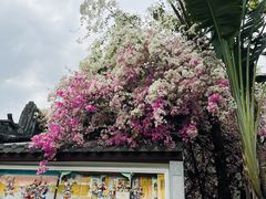 -深圳国际园林花卉博览园