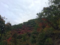 -丹东天桥沟景区