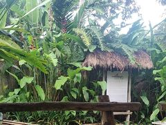 -大象粑粑造纸公园