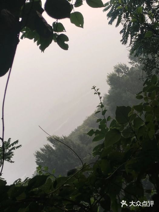 方山风景区定林寺图片