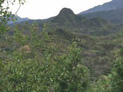 -南窖乡水峪村山情农家