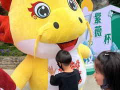 -武汉紫薇都市田园