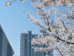 -龙美术馆(西岸馆)