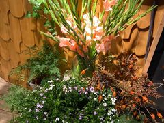 -春暖花开(西溪店)